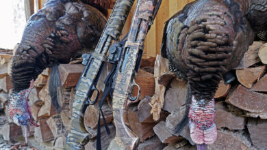 Photo of Best Turkey Hunting Shotguns of 2024