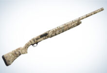 Photo of The 10 Gauge: Everything Hunters Need to Know