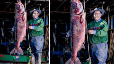 Photo of Missouri Man Catches World-Record Carp, Turns It into Fertilizer