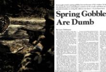 Photo of Spring Gobblers Are Dumb, from the Archives