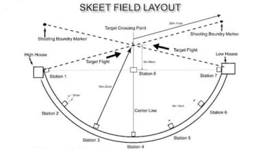 Photo of Skeet Shooting: Rules, Gear, and How to Get Started