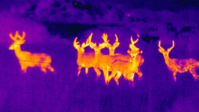 Photo of Will Thermals Change the Way We Hunt?