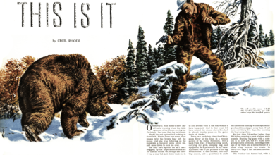 Photo of Stopping a Brown Bear Attack with a .38 Special, From the Archives